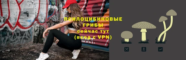 MESCALINE Аркадак