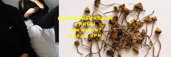MESCALINE Аркадак