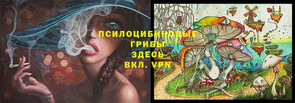 винт Арсеньев