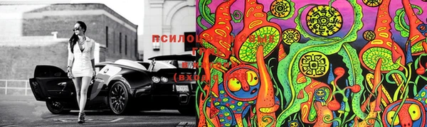 MESCALINE Аркадак